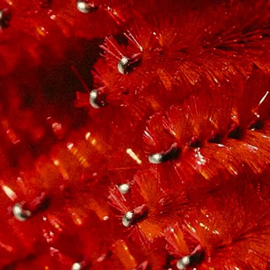 THE LAB BROW + LASH CLUB